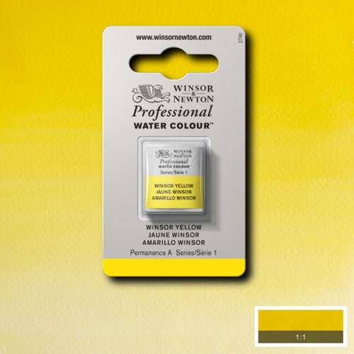 ACQUERELLO PROFESSIONALE - WINSOR & NEWTON