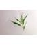 BLOCCO CARTA 24 X 32 - BAMBOO