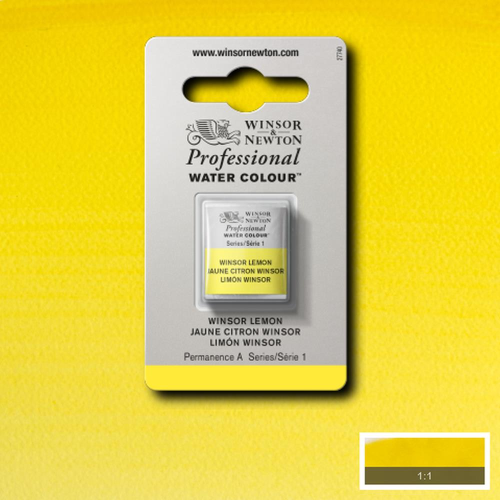 ACQUERELLO PROFESSIONALE - WINSOR & NEWTON