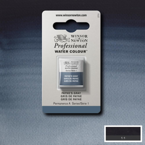 ACQUERELLO PROFESSIONALE - WINSOR & NEWTON