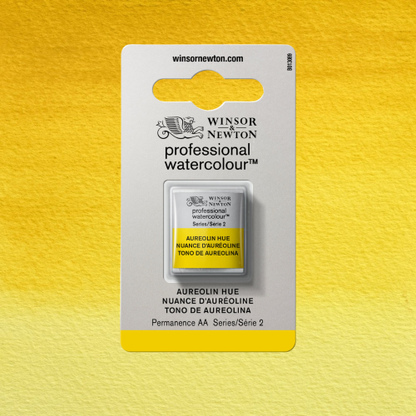 ACQUERELLO PROFESSIONALE - WINSOR & NEWTON