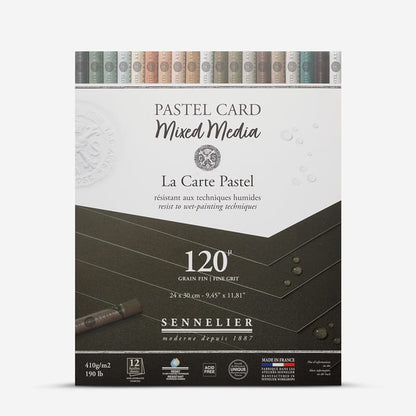 PASTEL CARD - BLOCCO CARTA MIXED MEDIA - SENNELIER - (ANTRACITE)
