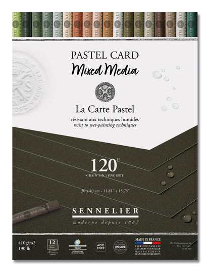 PASTEL CARD - BLOCCO CARTA MIXED MEDIA - SENNELIER - (ANTRACITE)