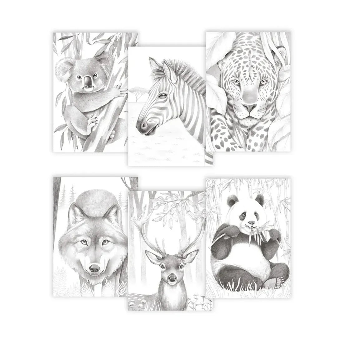 COLORING BOOK ODELIA ANIMALS