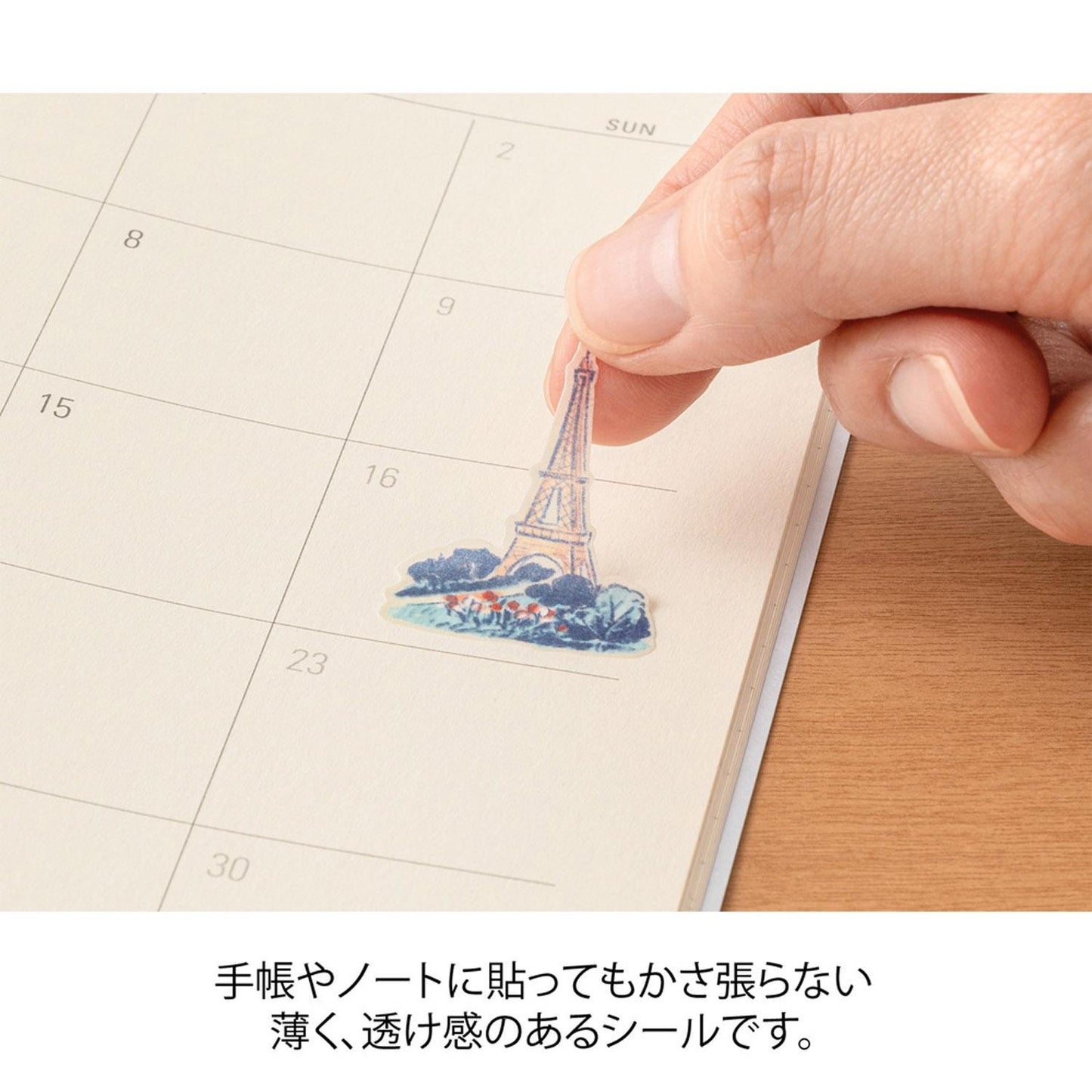 STICKER FRENCH MIDORI