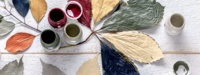 fusion_mineral_paint_fall_colour_leaves_6